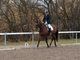 IMG_0415-150_web